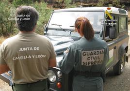 Investigación del incendio forestal en Robledo de Caldas.