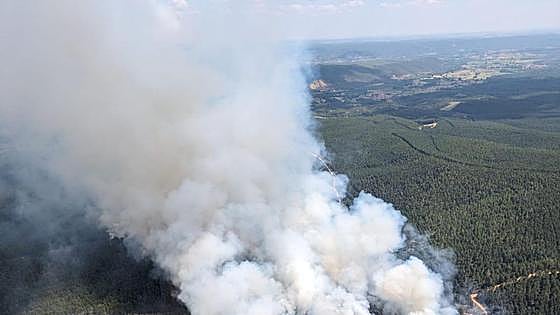 Extinguido el incendio de Santa Colomba de Curueño que arrasó 100 hectáreas de arbolado