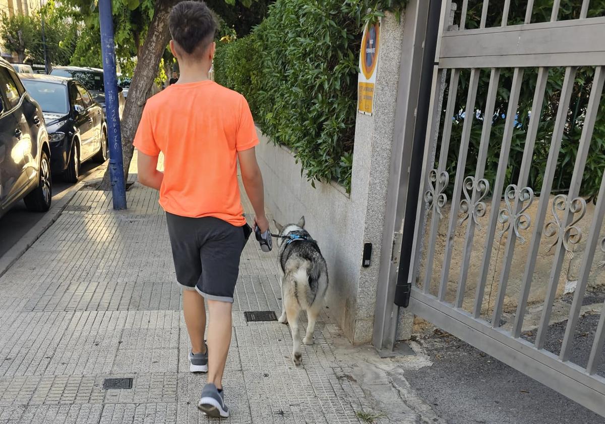 Cada vez más hogares cuentan con un perro en la ciudad de León.