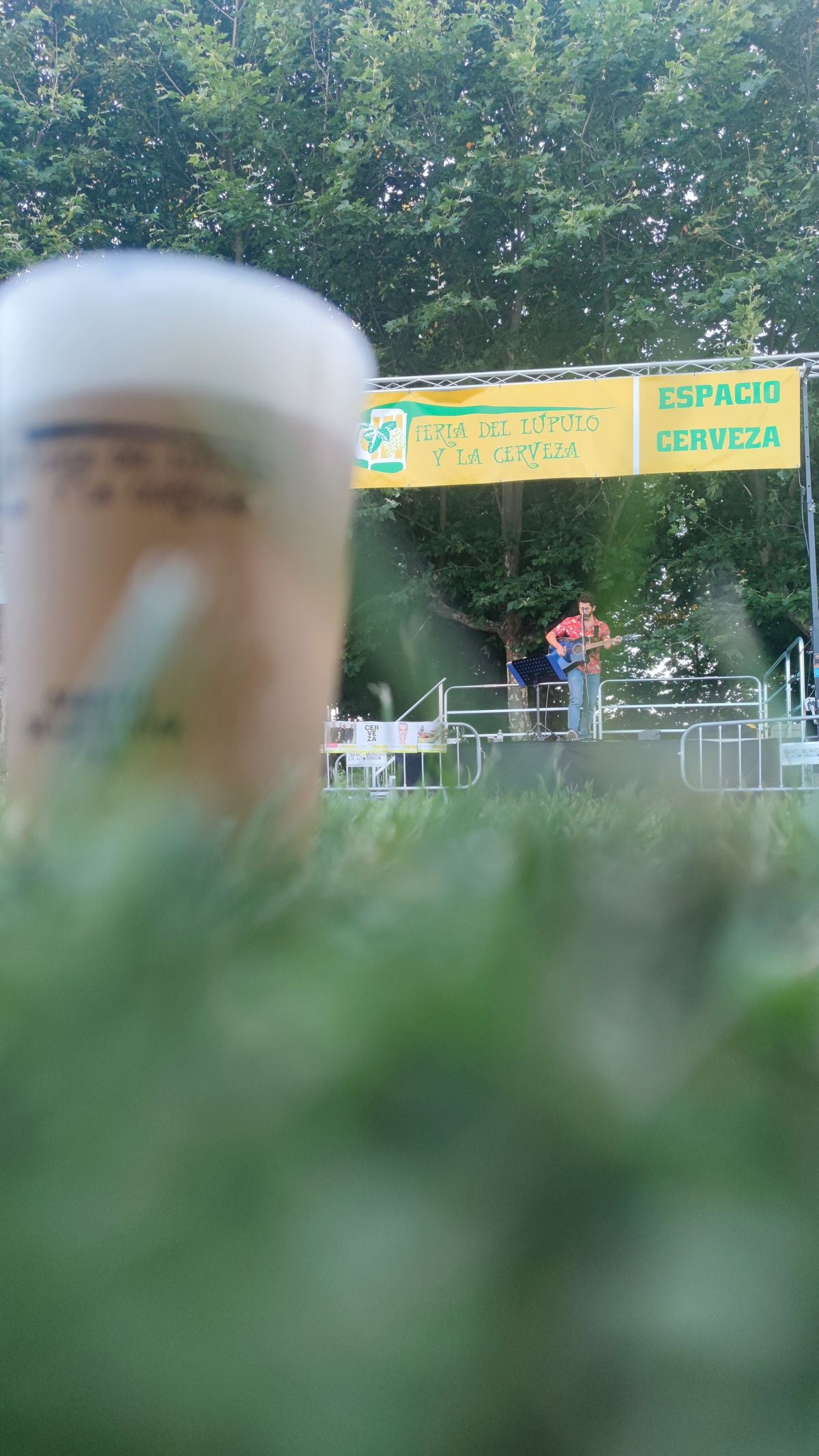 La Feria de la Cerveza de Carrizo, en imágenes