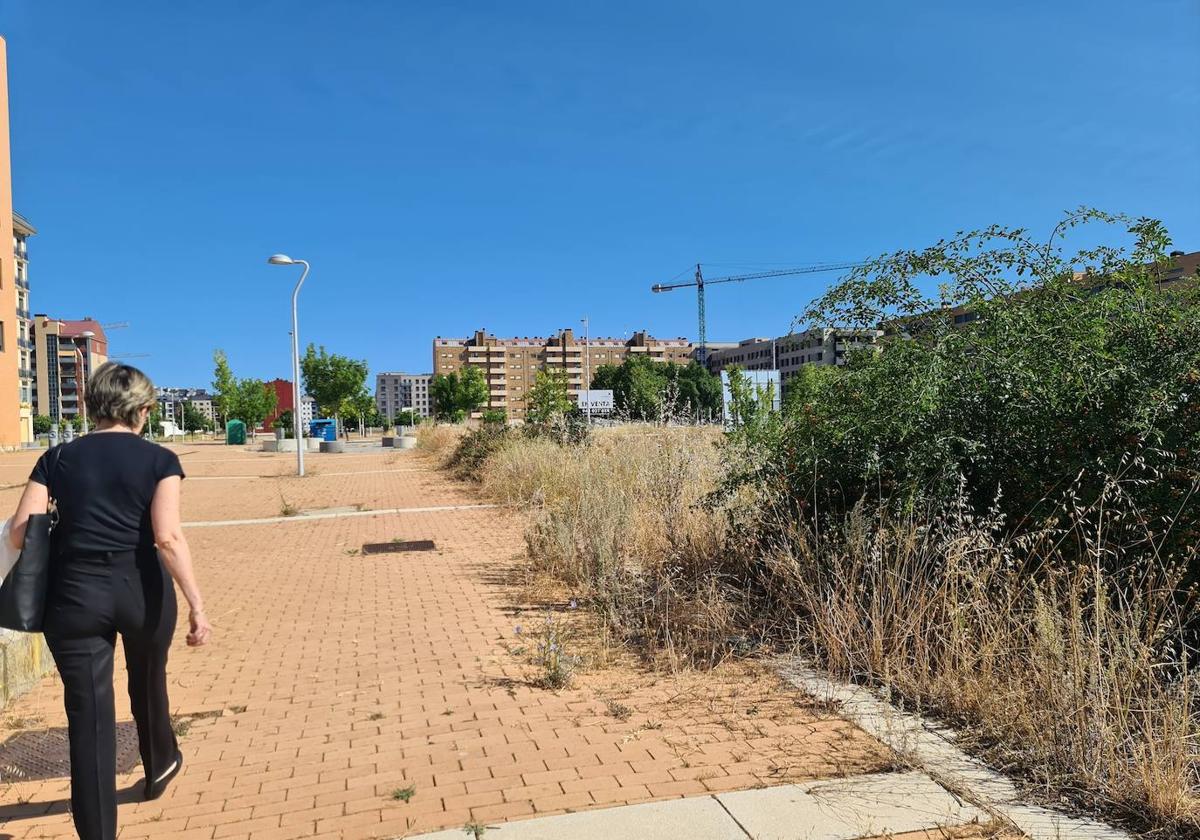 Ana Franco, concejala del PP visita las zonas verdes del barrio de La Lastra.