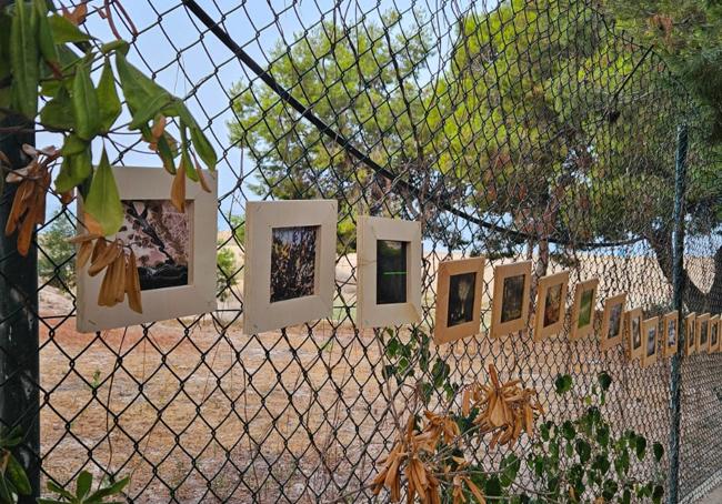 Obras de la muestra colgadas de una valla.