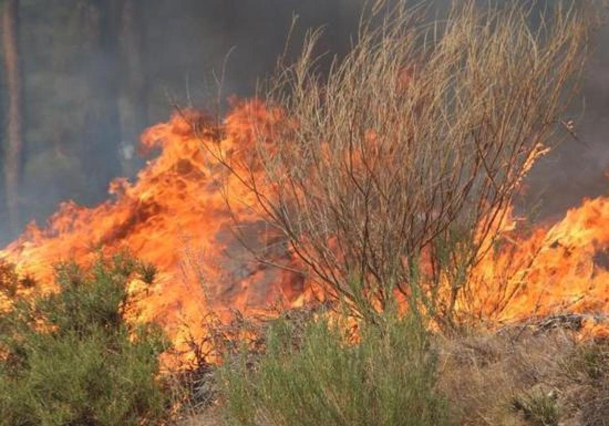 Imagen de archivo de un incendio.