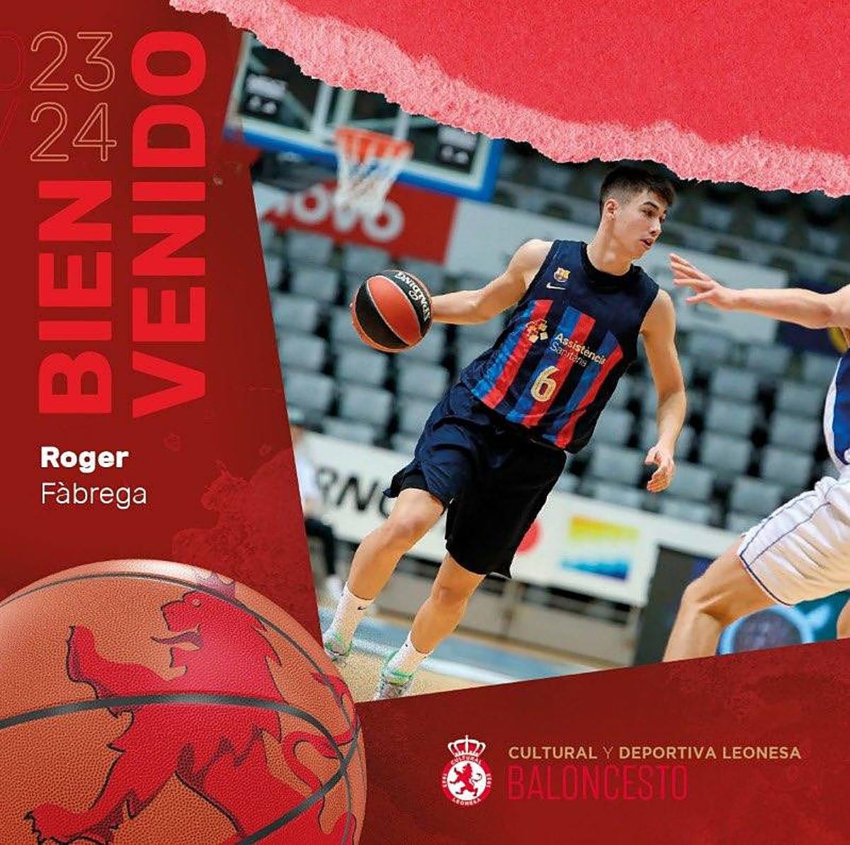 Roger Fàbrega, nuevo fichaje de la Cultural de baloncesto.