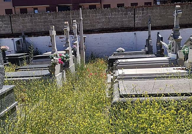 Estado en el que se encuentra el cementerio de San Andrés del Rabanedo.