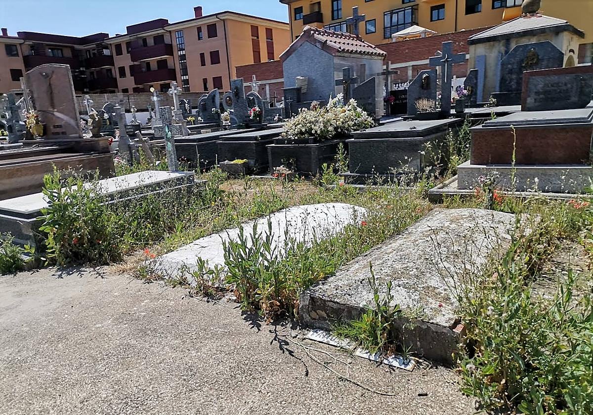 Estado en el que se encuentra el cementerio de San Andrés del Rabanedo.