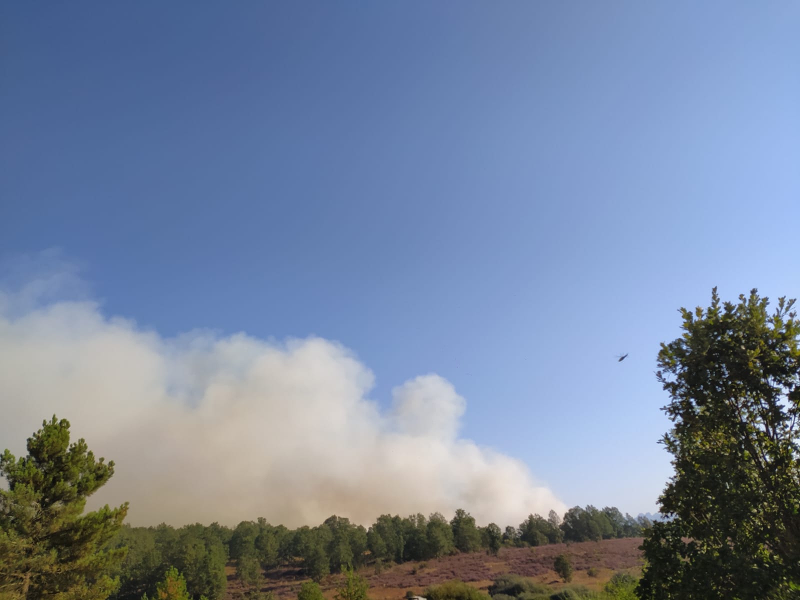 Evolución del fuego en la mañana de este jueves