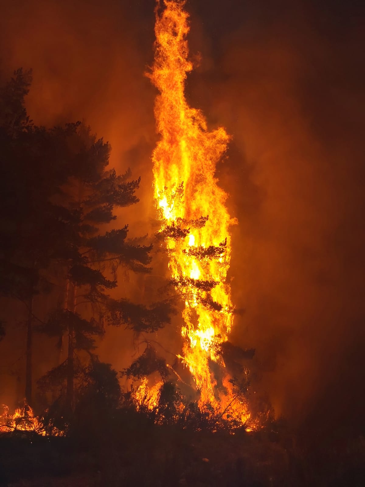 Un foco del Incendio de San Bartolomé de Rueda