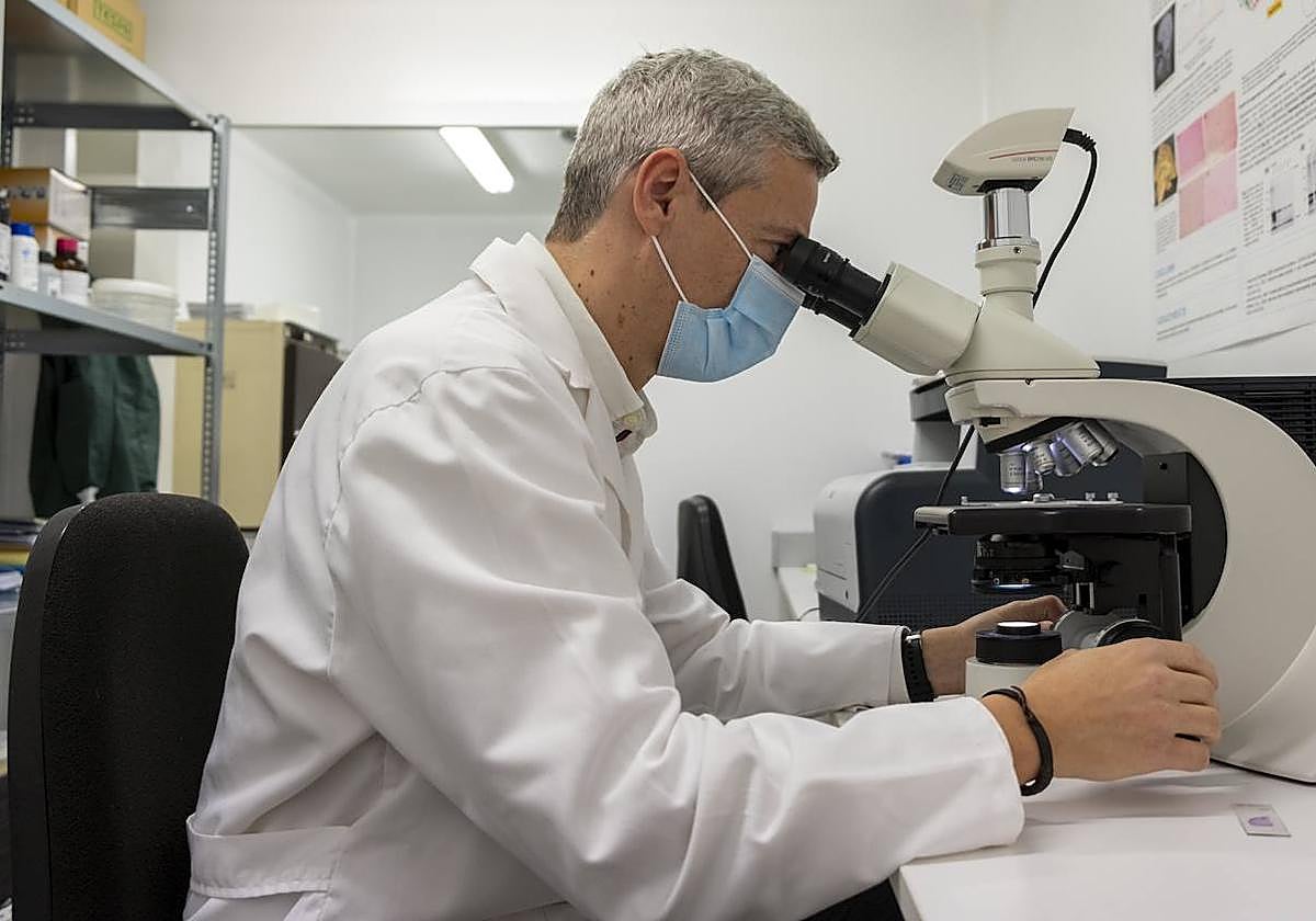 Javier Herrero, científico en la Universidad de Salamanca.