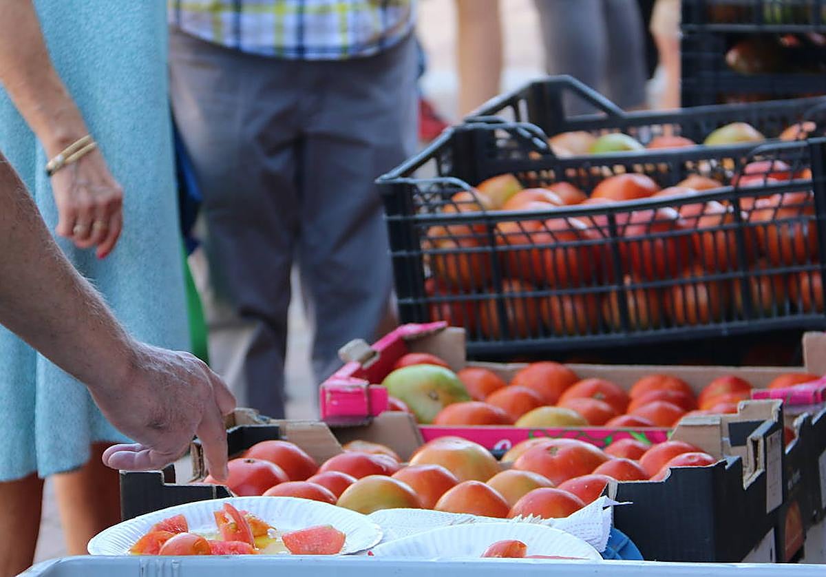 Feria del Tomate de Mansilla de las Mulas.