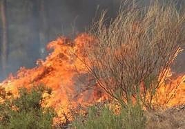 Controlado el incendio de Santa Cruz del Sil, que se salda con un conato