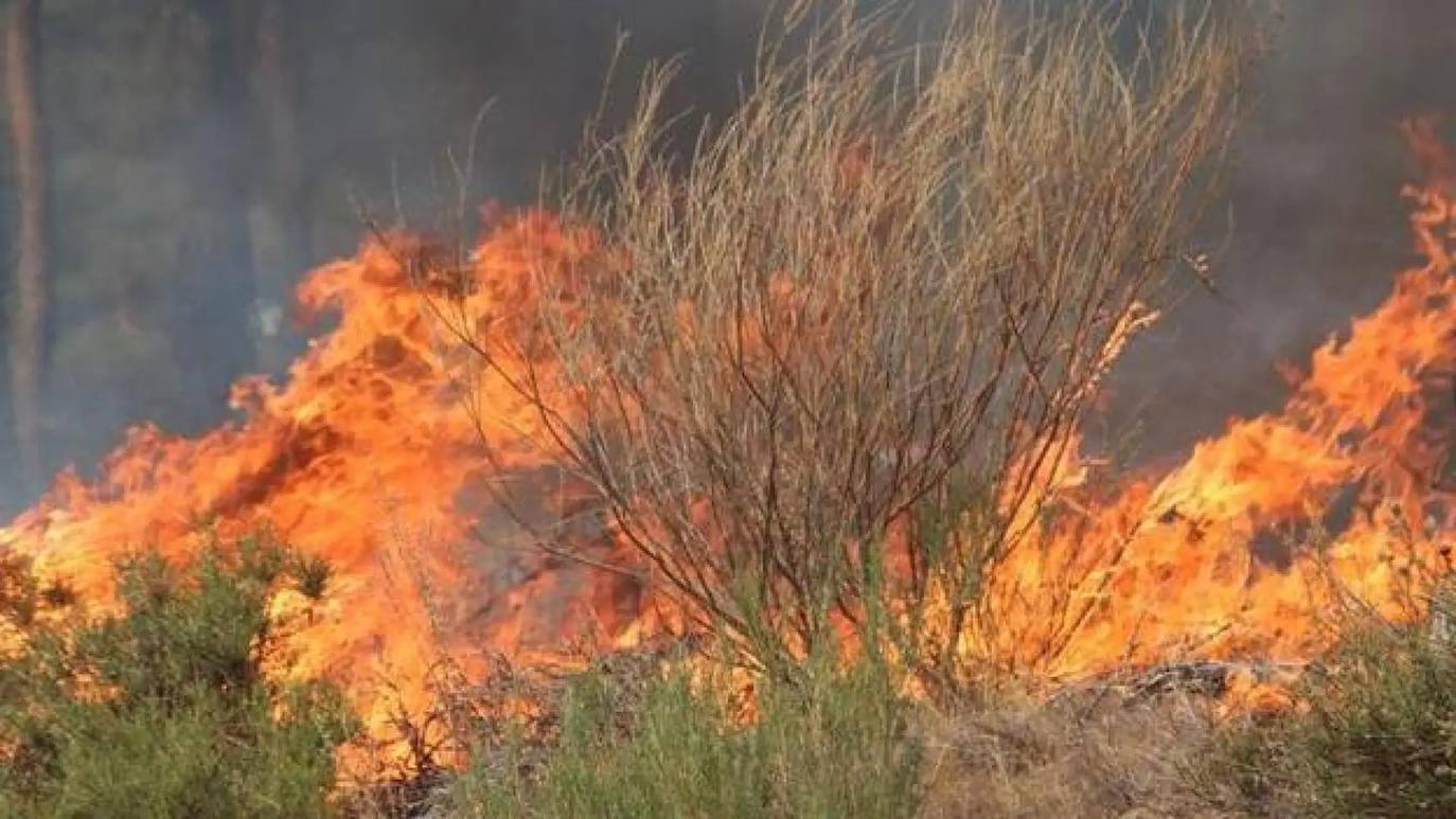 Controlado el incendio de Santa Cruz del Sil, que se salda con un conato