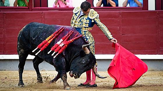 'Mochuelo', el toro leonés que encandiló a Las Ventas