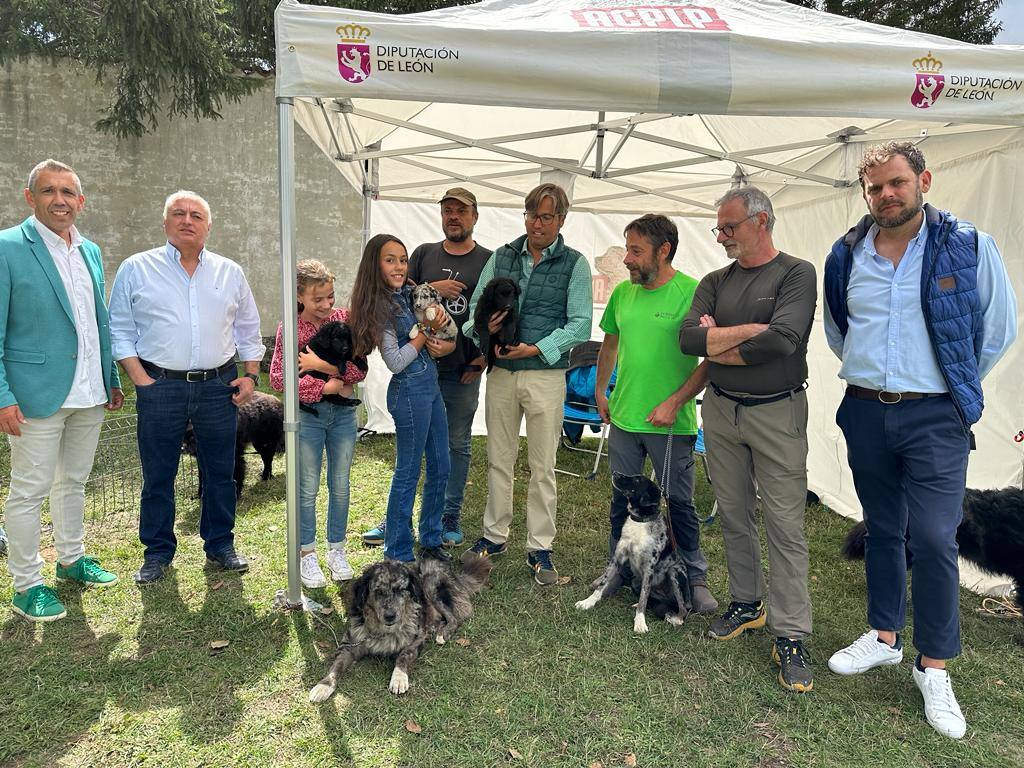 Feria del Cristo en Valdelugueros