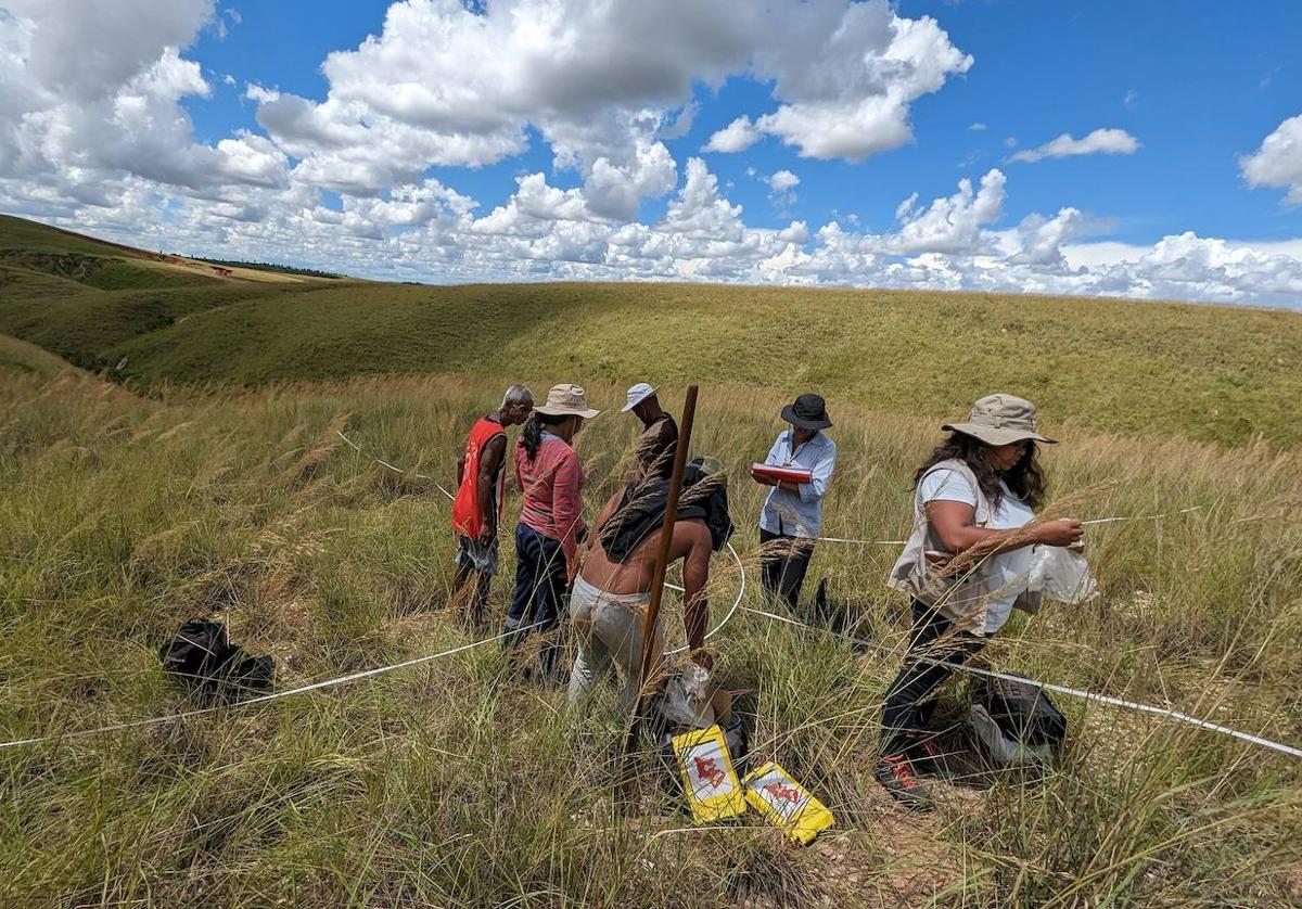 Un investigador leonés en África