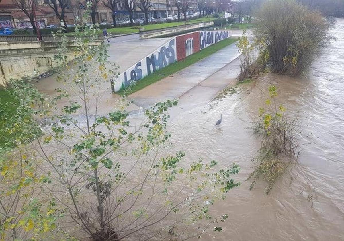 Vista del Bernesga a su paso por León.