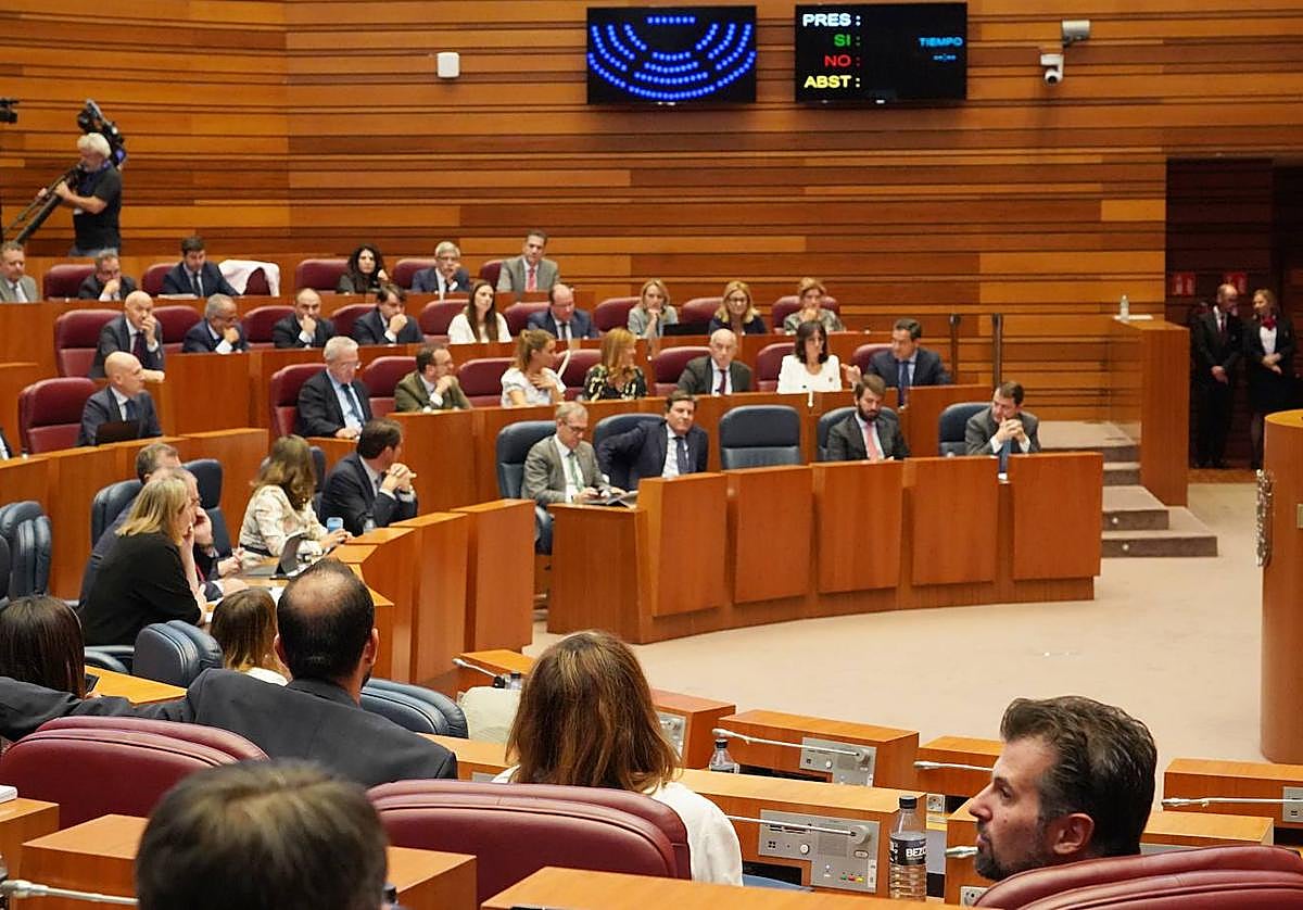 Votación en el Pleno de las Cortes.
