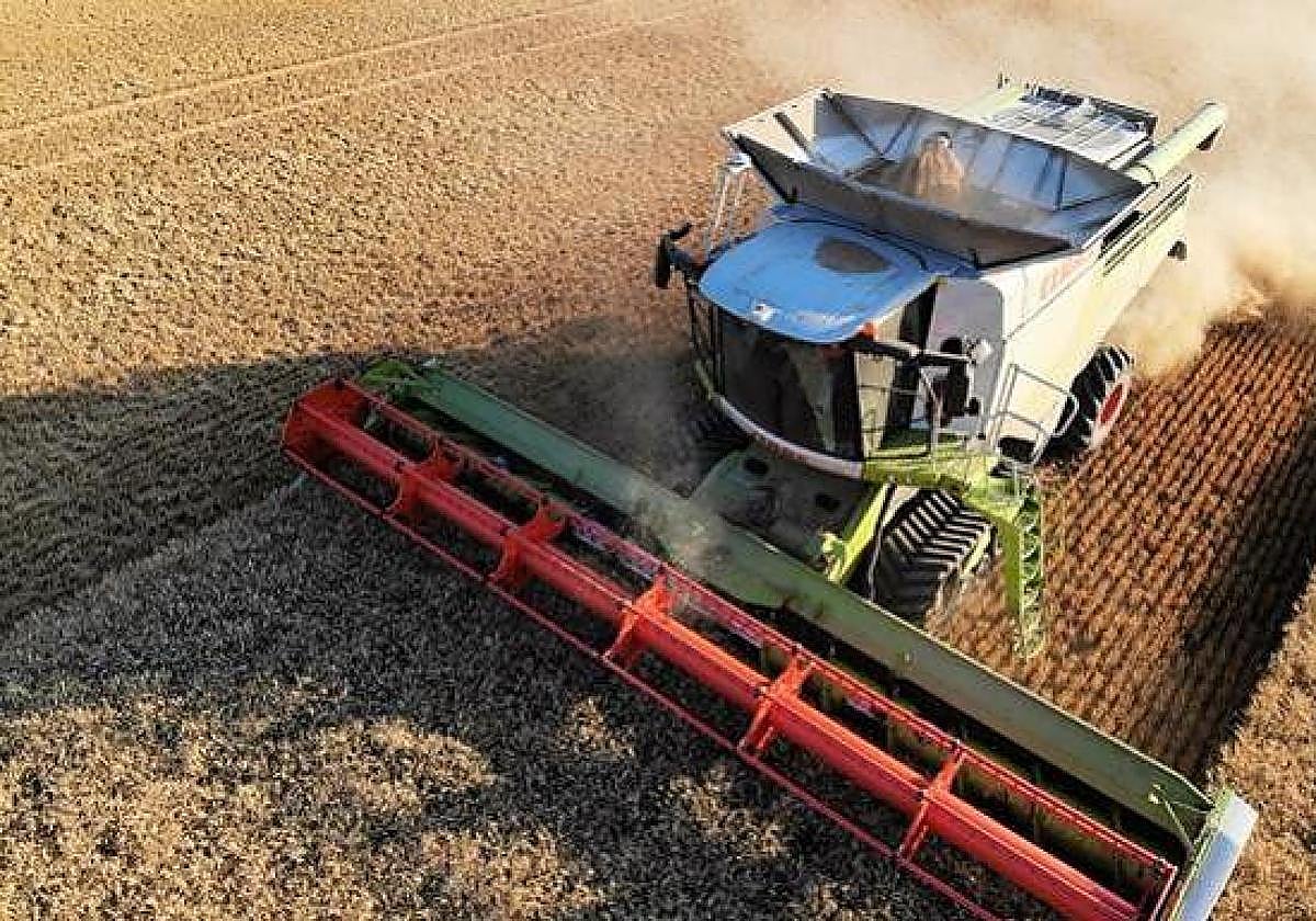 Imagen de archivo de una cosechadora en un campo de cereal.