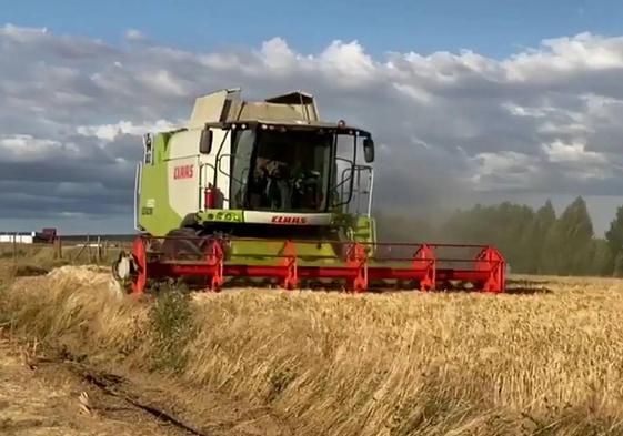 La Junta impulsa las ayudas frente a la sequía con 60 millones de euros en bonificaciones de préstamos
