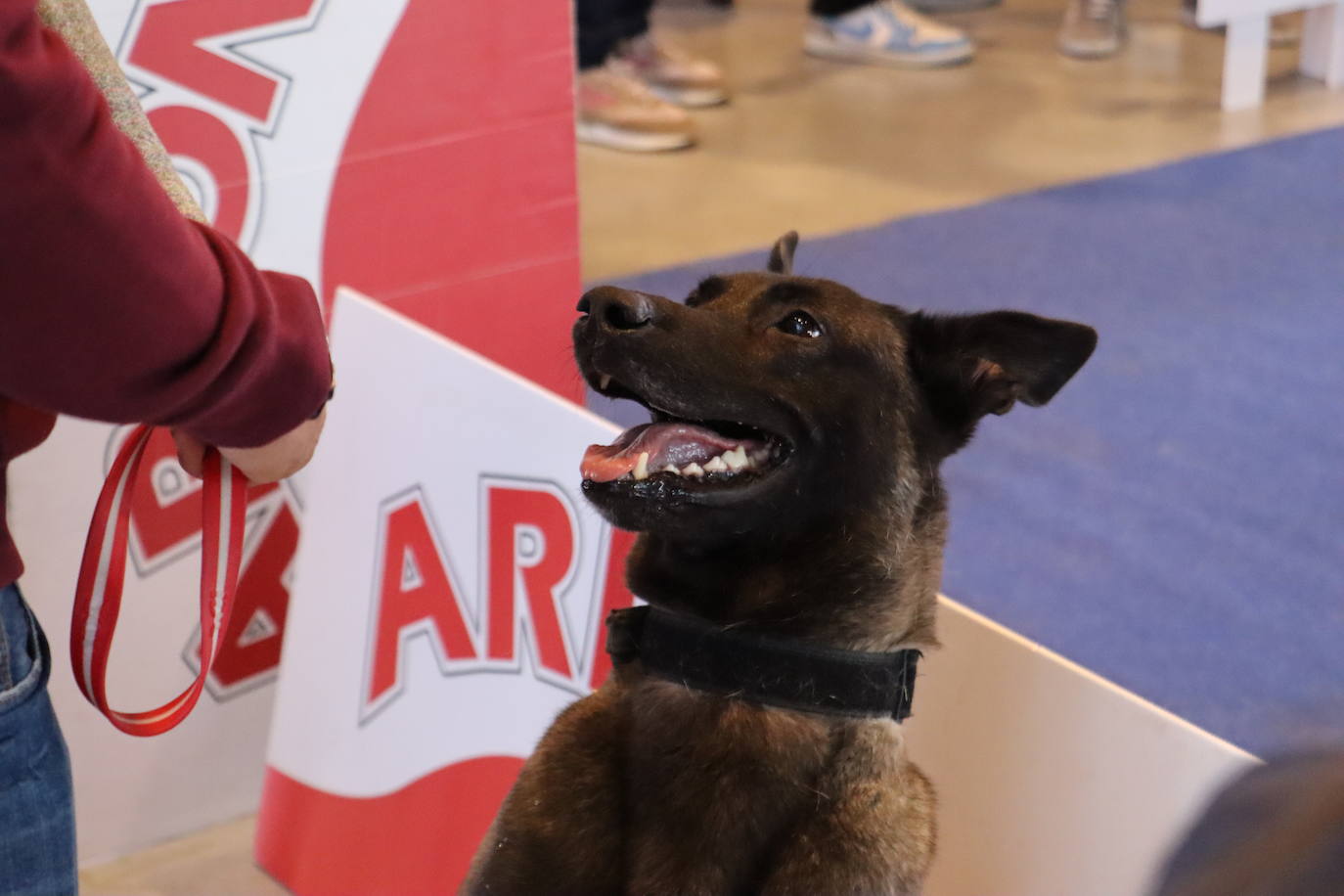 XXV Exposición Internacional Canina de León