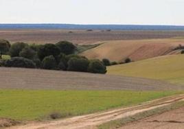 Imagen de una finca en Los Oteros previa a la concentración.