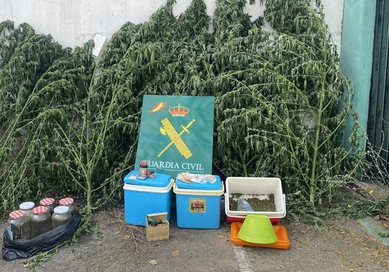 Plantas recogidas en esta vivienda de Vega de Infanzones.