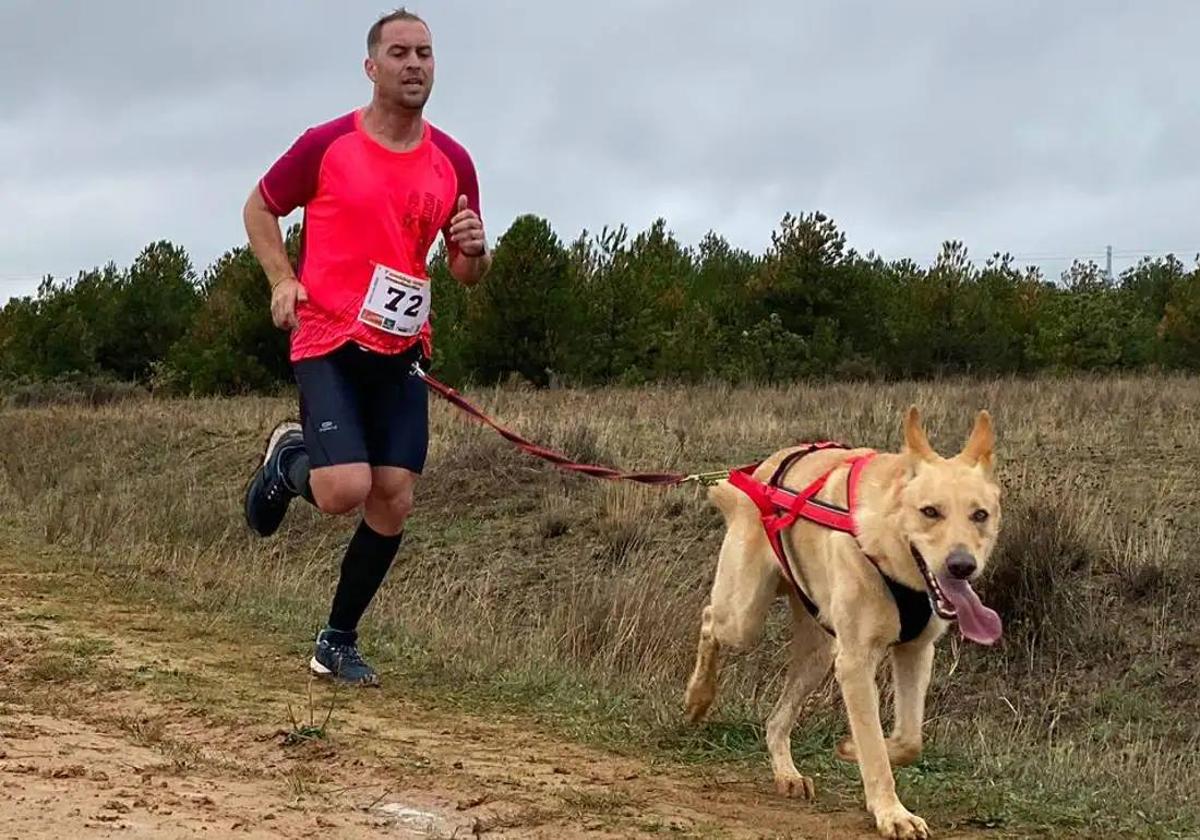 Uno de los campeonatos de mushing en Valdefresno.