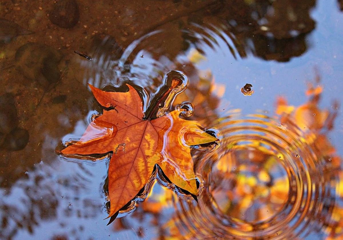 La lluvia llega para quedarse en León.