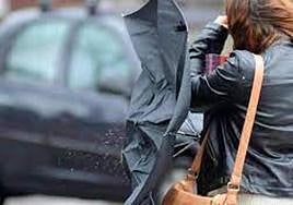 Las fuertes rachas de viento ocasionan 29 avisos al 112 en León