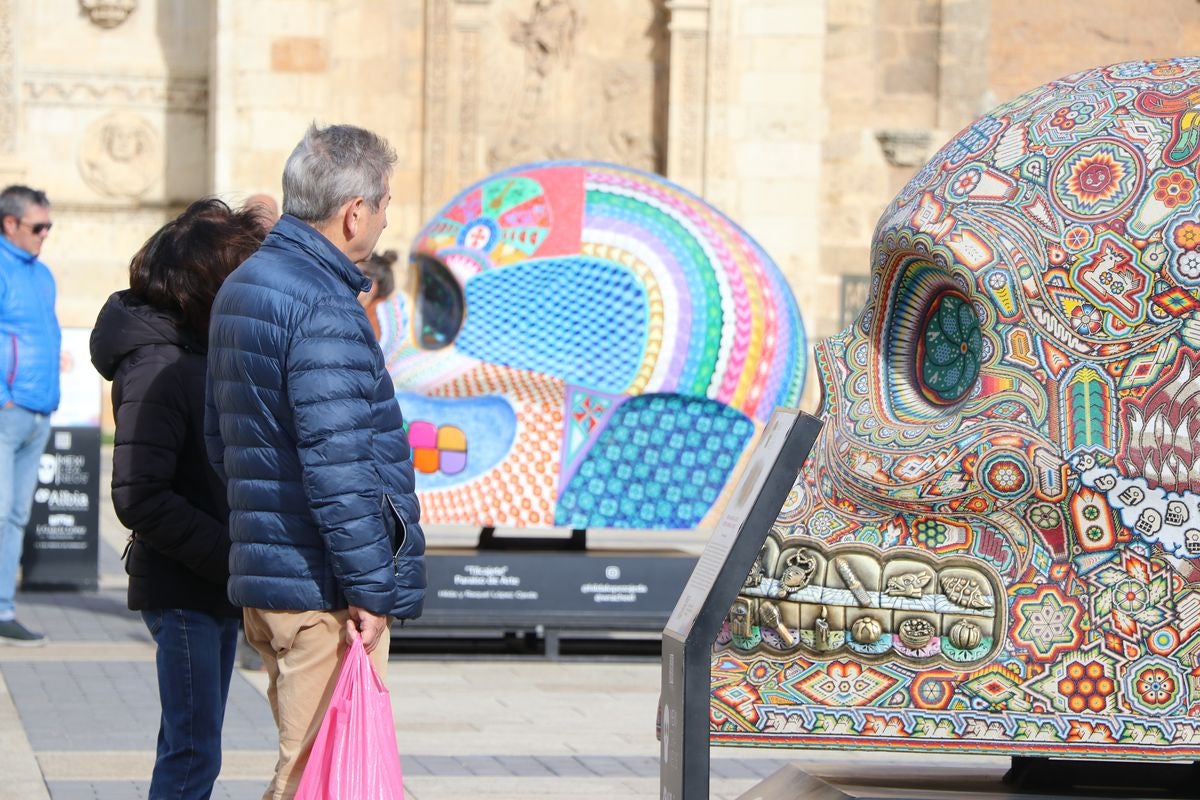 &#039;Mexicráneos&#039; se expone en León