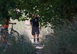 Un peregrino recorrer un tramo entre Sahagún y León