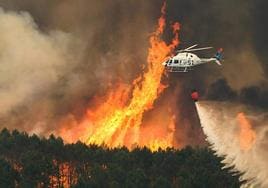 CSIF denuncia la supresión de las guardias de agentes medioambientales que deja vacíos los centros de mando contra incendios
