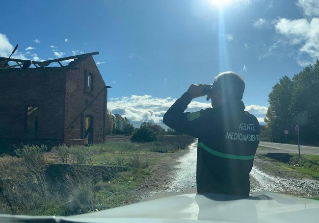 Vigilancia del animal por parte de la Junta.