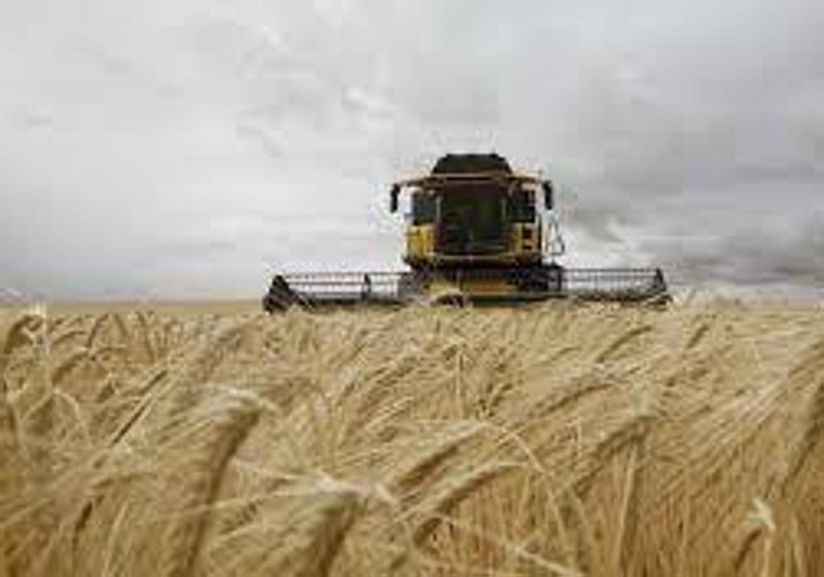 Explotación agropecuaria en Castilla y León.