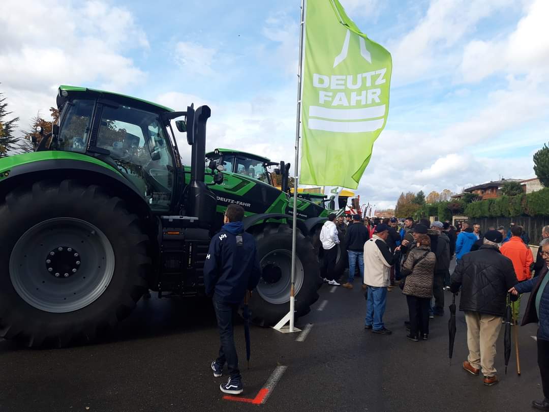 Feria de San Martín en Mansilla de las Mulas