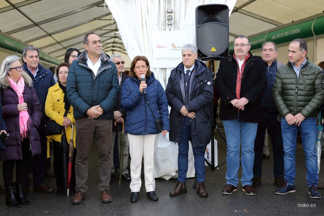 Feria de San Martín en Mansilla de las Mulas