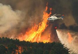 Los agentes medioambientales denuncian el «olvido y abandono» en incendios forestales