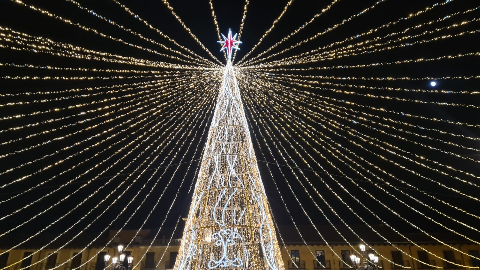 Un árbol de grandes dimensiones se ilumina en la Plaza Mayor de León.