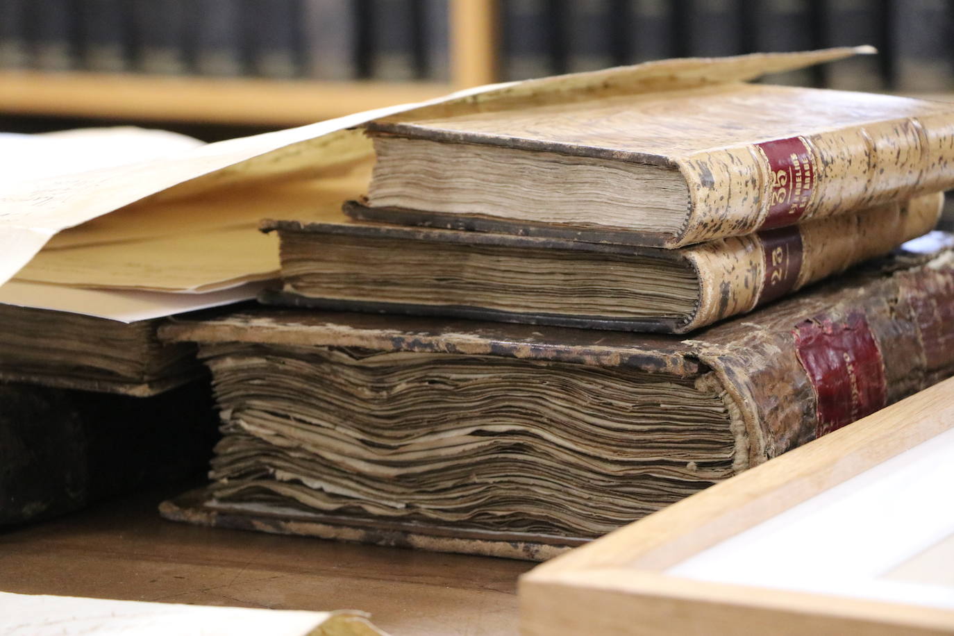 Archivo de La Catedral de León