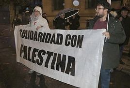 Decenas de leoneses muestran su apoyo a Palestina frente a la subdelegación del Gobierno en León