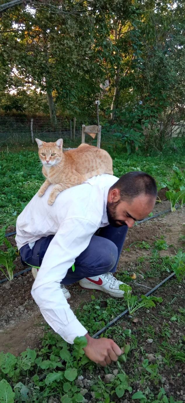 Objetivo: granja Madraviel