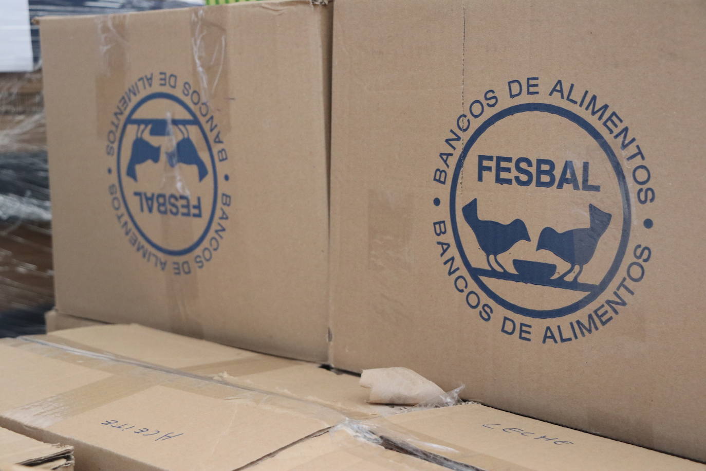 El Banco de Alimentos de León se muda