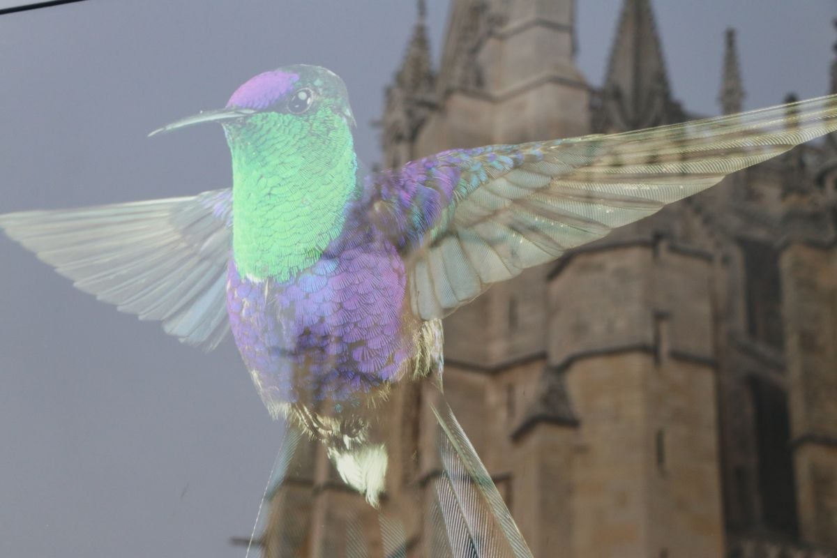 Los colores del mundo se exponen en León