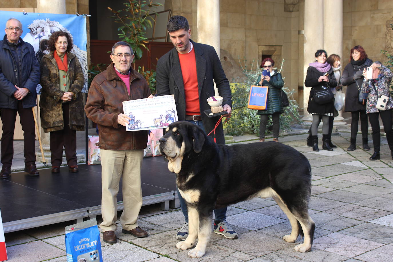 Representantes de uno de los mastines leoneses premiados.