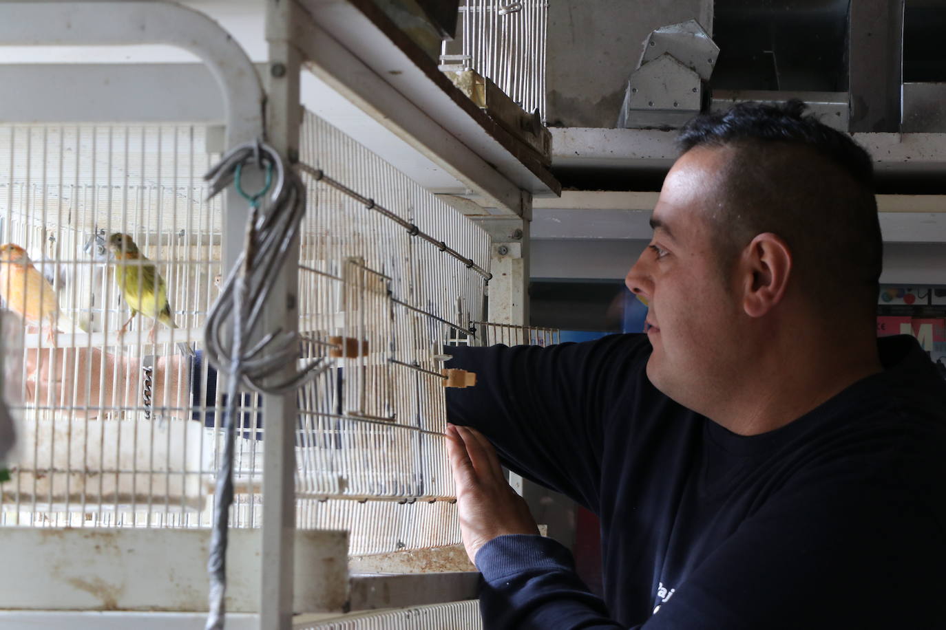 Un negocio singular: la Pajarería Rubén de Villablino