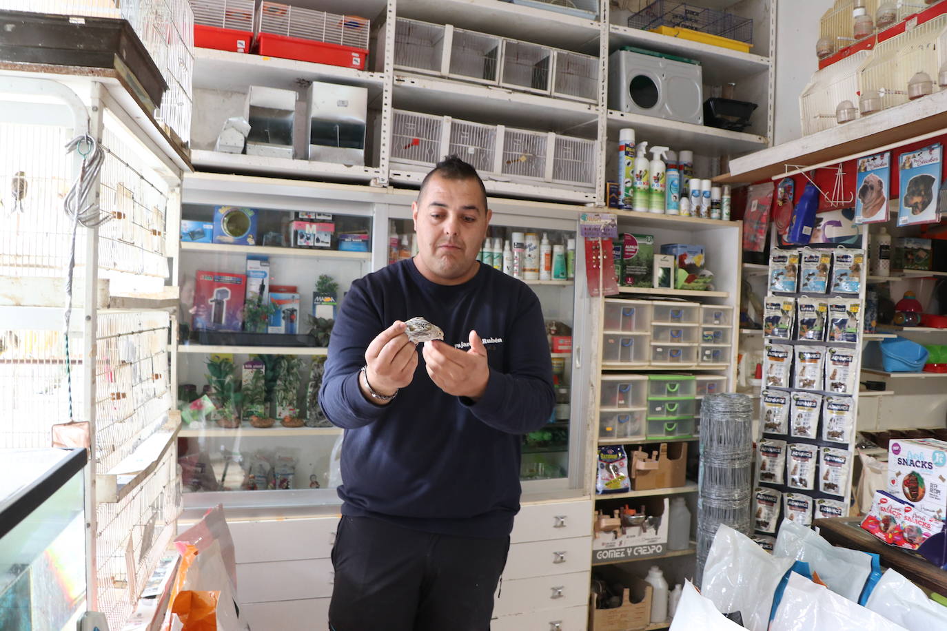 Un negocio singular: la Pajarería Rubén de Villablino