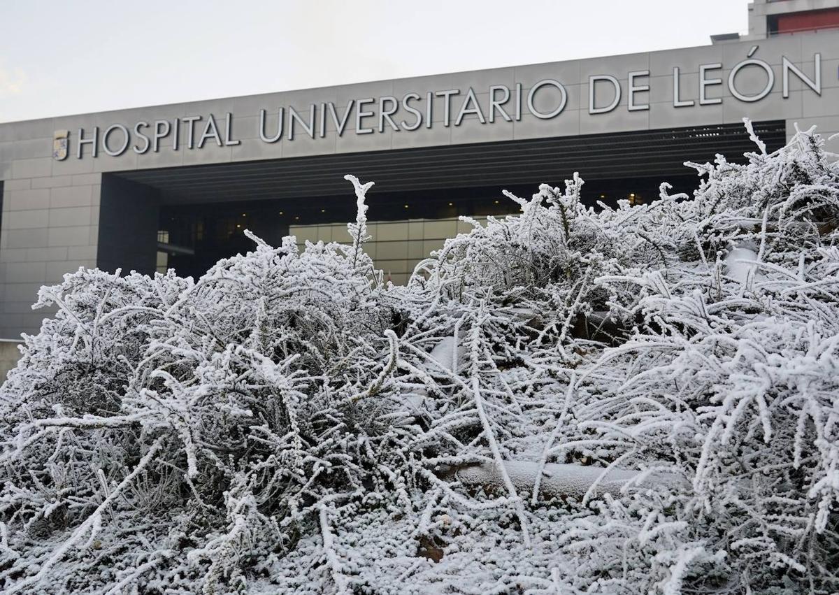 Imagen secundaria 1 - Cencellada en León capital.