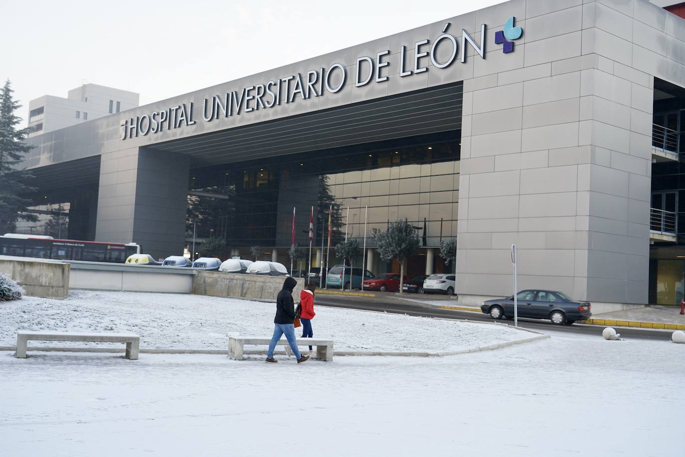 Las imágenes de la cencellada en León
