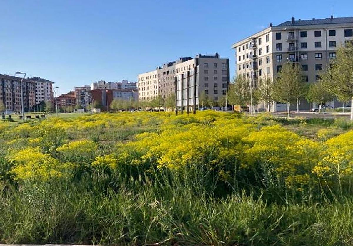 Barrio de La Lastra, en León capital.