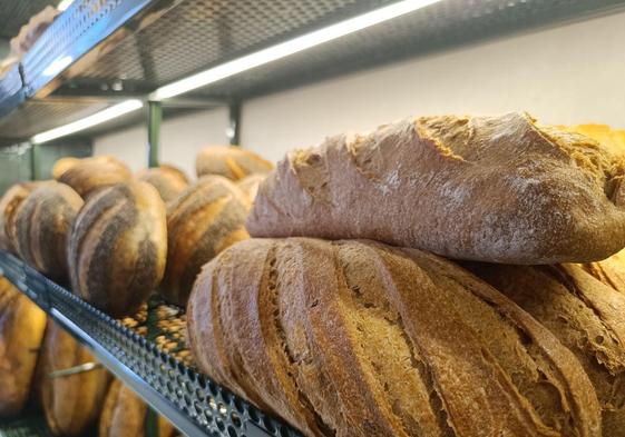 Apertura de la nueva panadería Flecha en la plaza Pícara Justina.